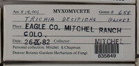 Image Associated With the Occurence